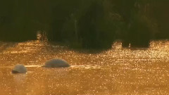 音乐短片 - Near Dusk