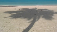 音乐短片 - I Miss You