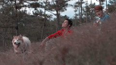 亚洲群星,影视原声 - Bai Tinh Ca Cho Anh