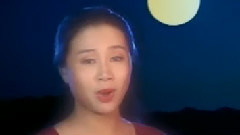 华语群星 - 有个小姑娘