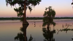 音乐短片 - 密西西比 - 老人河