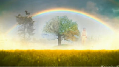 音乐短片 - Nostalgia