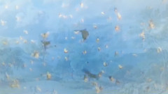 音乐短片 - Deep Feeling