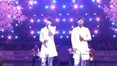 东方神起 - サクラミチ