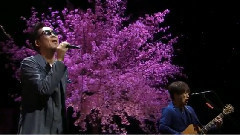 コブクロ - 桜 & 奇跡