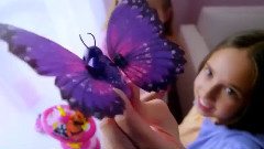 音乐短片 - Flight Of The Butterfly