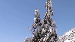 音乐短片 - 妹妹找哥泪花流