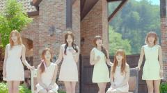 A Pink - Secret Garden