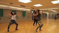 模仿翻唱,舞蹈视频 - SNSD THE BOOGIES