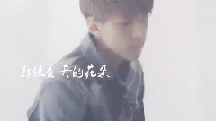 EXO - 春爱樱 世勋