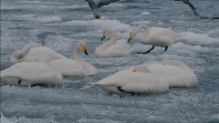 音乐短片 - 你的旋律