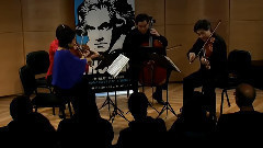 音乐短片 - C小调第4弦乐四重奏 作品18之4