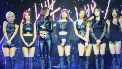 AOA - Like A Cat发行纪念