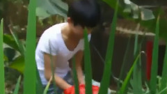 TFBOYS - TF少年GO