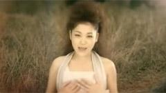 JUJU - Open Your Heart