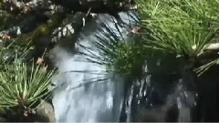 Eau De Vie