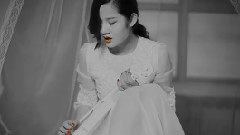 网络音乐 - 爱囚