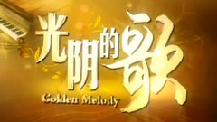 王菲 - 光阴的歌 王菲演唱会集锦