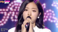 A Pink - Secret - 现场版 14/11/22