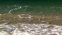 A Summer Love - Elias Rahbani