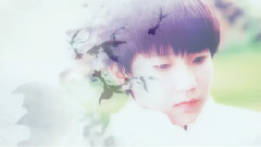 TFBOYS - 锦鲤抄