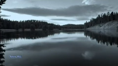 New - Blackmore's Night - Loreley
