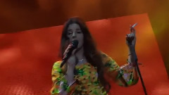 Lana Del Rey - Young and Beautiful