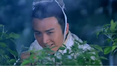 陈晓 - 电视剧<王的女人> EP10