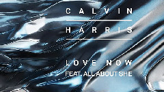 All About She,Calvin Harris - Love Now
