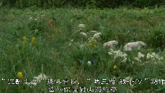 古天乐 - 共你痴痴爱在(友情版)
