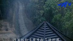 林志炫 - 烟花易冷