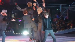 EXO,EXO-K,EXO-M - Wolf
