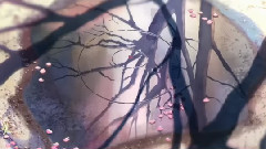 原创 - 时过境迁 到底有多少不曾改变