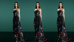 Fashion Show - Elie Saab Fall Winter 2014-2015 Studio Film