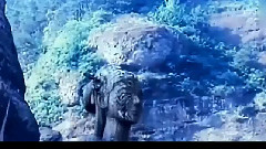 彭于晏,胡歌,刘亦菲,安以轩 - 相思十诫