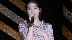 IU - 你的意义