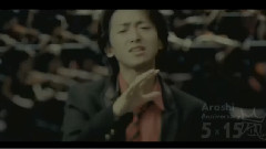 岚 - 5x10