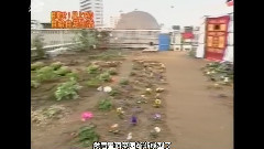 赤西仁 - 一个屋顶上 20