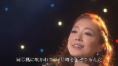平原绫香 - たしかなこと cover