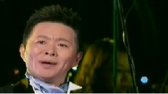 王宏伟 - 鹿花背的白马