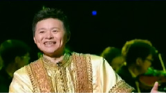 王宏伟 - 阿瓦尔古丽