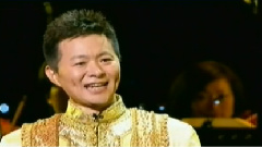 王宏伟 - 草原上升起不落的太阳