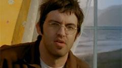 Eels - Flyswatter