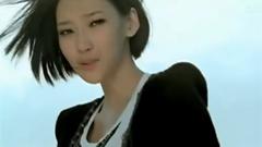 陆瑶 - 路遥