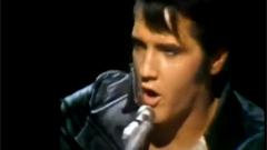 Elvis Presley - Tiger Man
