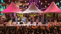 乌龟组合 - 四季