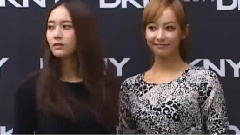少女时代,f(x) - SSTV Dkny Fw Event