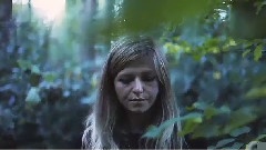 Into The Trees