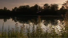 音乐短片 - 向晚