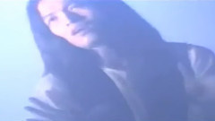 张真 - 携手游人间
